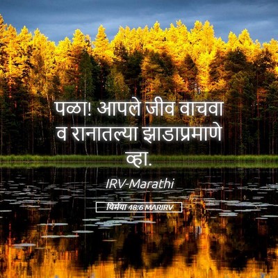 Picture 05 - यिर्मया 48:6 MARIRV - पळा! आपले जीव वाचवा - Bible Verse Picture