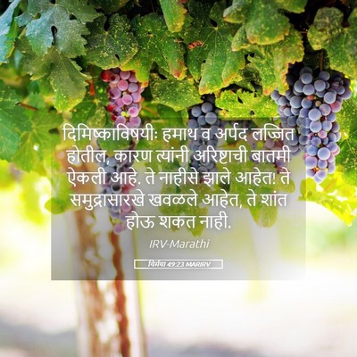 Picture 05 - यिर्मया 49:23 MARIRV - दिमिष्काविषयीः - Bible Verse Picture