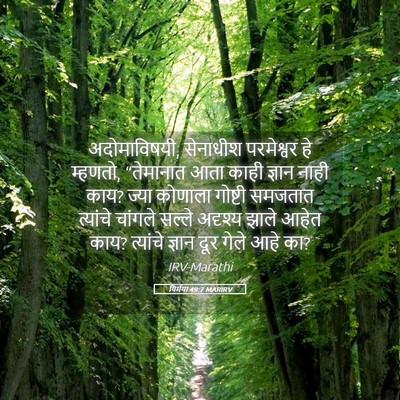 Picture 05 - यिर्मया 49:7 MARIRV - अदोमाविषयी, - Bible Verse Picture
