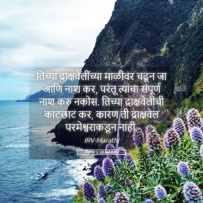 Picture 05 - यिर्मया 5:10 MARIRV - तिच्या - Bible Verse Picture