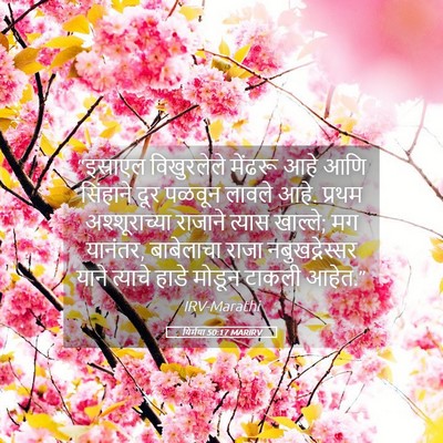 Picture 05 - यिर्मया 50:17 MARIRV - “इस्राएल - Bible Verse Picture