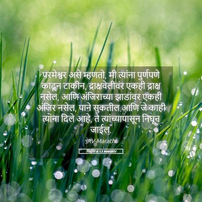Picture 05 - यिर्मया 8:13 MARIRV - परमेश्वर असे - Bible Verse Picture