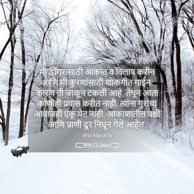 Picture 05 - यिर्मया 9:10 MARIRV - मी डोंगरासाठी - Bible Verse Picture