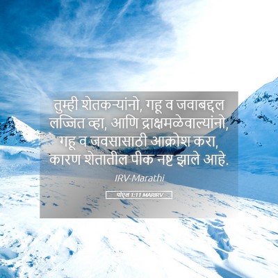 Picture 05 - योएल 1:11 MARIRV - तुम्ही - Bible Verse Picture