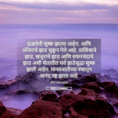 Picture 05 - योएल 1:12 MARIRV - द्राक्षवेली शुष्क - Bible Verse Picture
