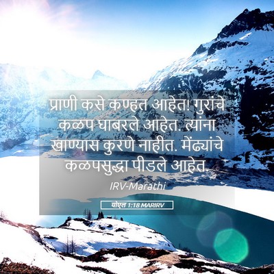 Picture 05 - योएल 1:18 MARIRV - प्राणी कसे कण्हत - Bible Verse Picture