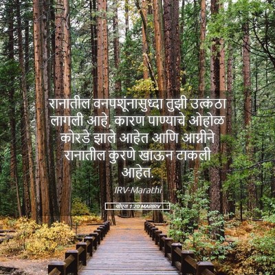 Picture 05 - योएल 1:20 MARIRV - रानातील - Bible Verse Picture