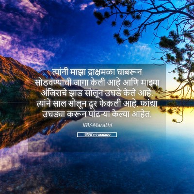 Picture 05 - योएल 1:7 MARIRV - त्यांनी माझा - Bible Verse Picture