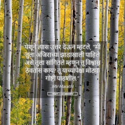 Picture 05 - योहान 1:50 MARIRV - येशूने त्यास - Bible Verse Picture