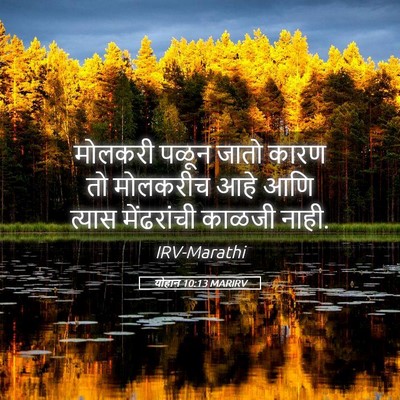 Picture 05 - योहान 10:13 MARIRV - मोलकरी पळून जातो - Bible Verse Picture