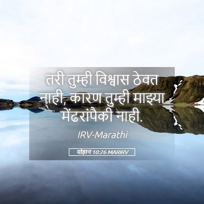 Picture 05 - योहान 10:26 MARIRV - तरी तुम्ही - Bible Verse Picture