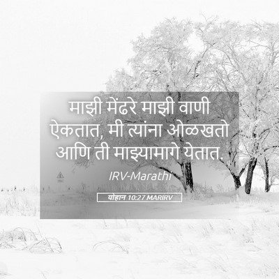 Picture 05 - योहान 10:27 MARIRV - माझी मेंढरे माझी - Bible Verse Picture