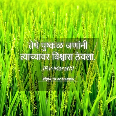 Picture 05 - योहान 10:42 MARIRV - तेथे पुष्कळ - Bible Verse Picture