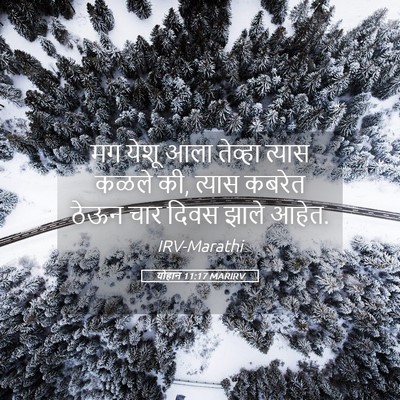 Picture 05 - योहान 11:17 MARIRV - मग येशू आला तेव्हा - Bible Verse Picture