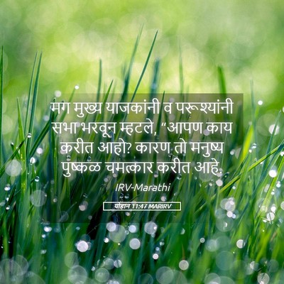 Picture 05 - योहान 11:47 MARIRV - मग मुख्य याजकांनी - Bible Verse Picture