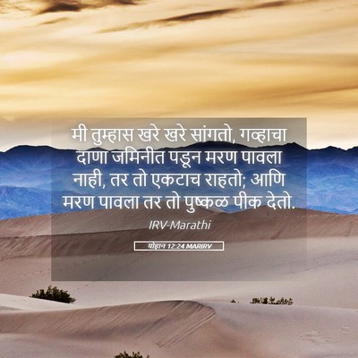 Picture 05 - योहान 12:24 MARIRV - मी तुम्हास खरे खरे - Bible Verse Picture