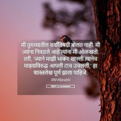 Picture 05 - योहान 13:18 MARIRV - मी तुमच्यातील - Bible Verse Picture