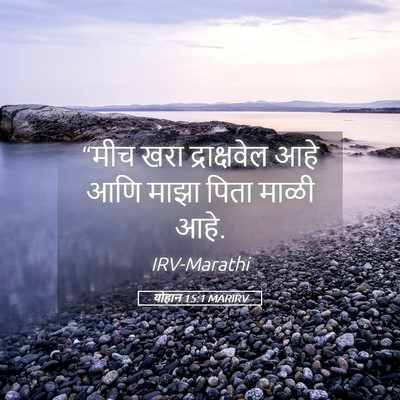 Picture 05 - योहान 15:1 MARIRV - “मीच खरा - Bible Verse Picture