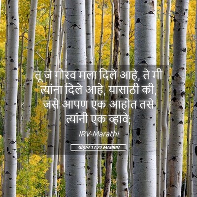 Picture 05 - योहान 17:22 MARIRV - तू जे गौरव मला दिले - Bible Verse Picture