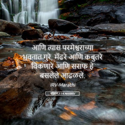 Picture 05 - योहान 2:14 MARIRV - आणि त्यास - Bible Verse Picture