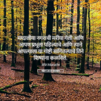 Picture 05 - योहान 20:18 MARIRV - मग्दालीया नगराची - Bible Verse Picture