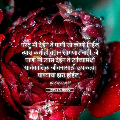 Picture 05 - योहान 4:14 MARIRV - परंतु मी देईन ते - Bible Verse Picture