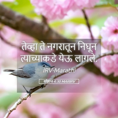 Picture 05 - योहान 4:30 MARIRV - तेव्हा ते नगरातून - Bible Verse Picture