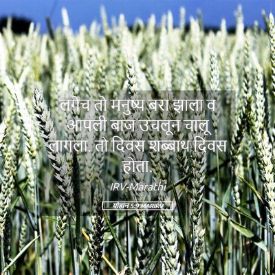 Picture 05 - योहान 5:9 MARIRV - लगेच तो मनुष्य बरा - Bible Verse Picture