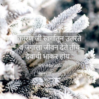 Picture 05 - योहान 6:33 MARIRV - कारण जी - Bible Verse Picture