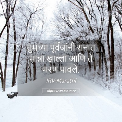 Picture 05 - योहान 6:49 MARIRV - तुमच्या - Bible Verse Picture