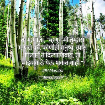 Picture 05 - योहान 6:65 MARIRV - तो म्हणाला, - Bible Verse Picture
