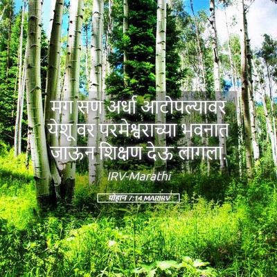 Picture 05 - योहान 7:14 MARIRV - मग सण अर्धा - Bible Verse Picture