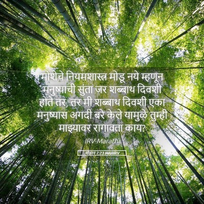 Picture 05 - योहान 7:23 MARIRV - मोशेचे - Bible Verse Picture