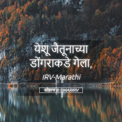 Picture 05 - योहान 8:1 MARIRV - येशू जैतूनाच्या - Bible Verse Picture