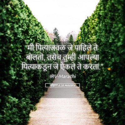 Picture 05 - योहान 8:38 MARIRV - मी पित्याजवळ जे - Bible Verse Picture