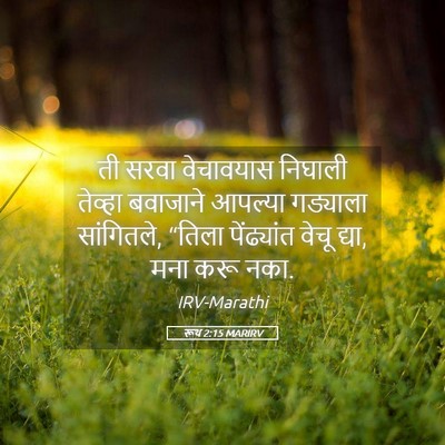 Picture 05 - रूथ 2:15 MARIRV - ती सरवा वेचावयास - Bible Verse Picture