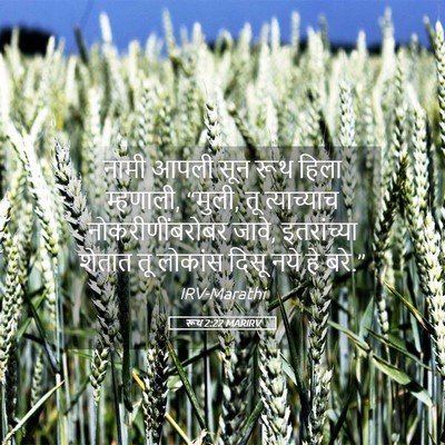 Picture 05 - रूथ 2:22 MARIRV - नामी आपली सून रूथ - Bible Verse Picture
