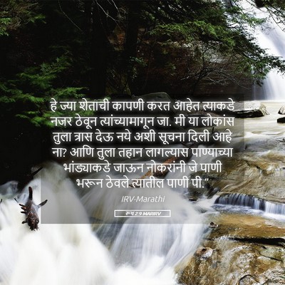 Picture 05 - रूथ 2:9 MARIRV - हे ज्या शेताची - Bible Verse Picture
