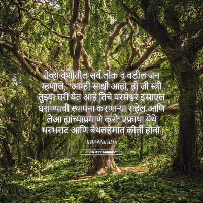 Picture 05 - रूथ 4:11 MARIRV - तेव्हा वेशीतील - Bible Verse Picture