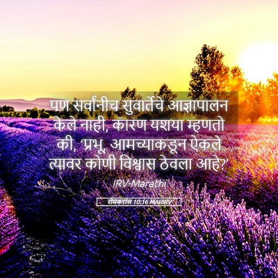 Picture 05 - रोमकरांस 10:16 MARIRV - पण सर्वांनीच - Bible Verse Picture