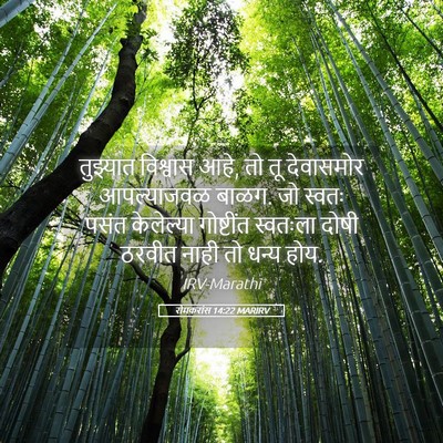 Picture 05 - रोमकरांस 14:22 MARIRV - तुझ्यात विश्वास - Bible Verse Picture