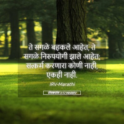 Picture 05 - रोमकरांस 3:12 MARIRV - ते सगळे बहकले आहेत, - Bible Verse Picture