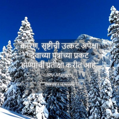 Picture 05 - रोमकरांस 8:19 MARIRV - कारण, सृष्टीची - Bible Verse Picture