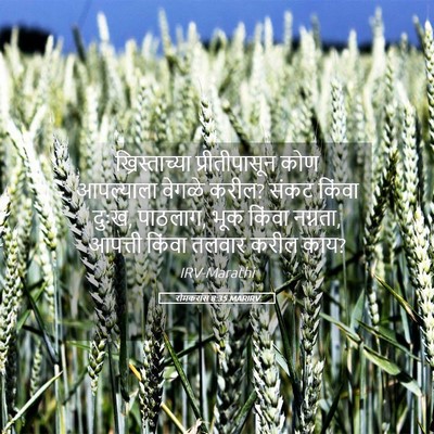 Picture 05 - रोमकरांस 8:35 MARIRV - ख्रिस्ताच्या - Bible Verse Picture
