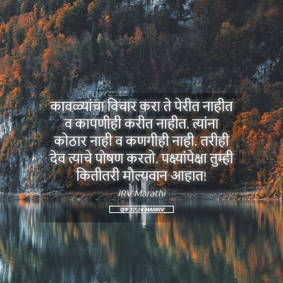 Picture 05 - लूक 12:24 MARIRV - कावळ्यांचा विचार - Bible Verse Picture