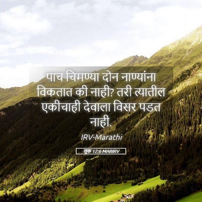 Picture 05 - लूक 12:6 MARIRV - पाच चिमण्या दोन - Bible Verse Picture