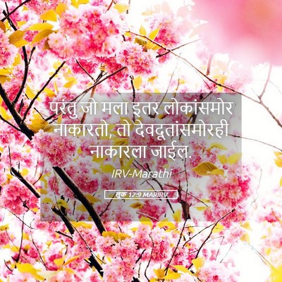 Picture 05 - लूक 12:9 MARIRV - परंतु जो मला इतर - Bible Verse Picture