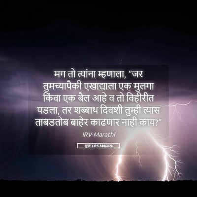 Picture 05 - लूक 14:5 MARIRV - मग तो त्यांना - Bible Verse Picture
