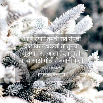 Picture 05 - लूक 15:30 MARIRV - आणि ज्याने तुमची - Bible Verse Picture