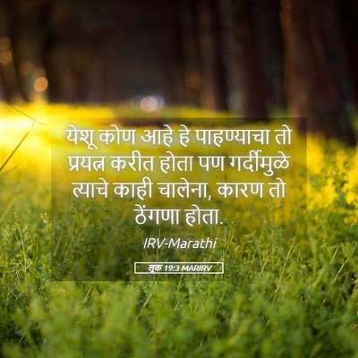 Picture 05 - लूक 19:3 MARIRV - येशू कोण आहे हे - Bible Verse Picture